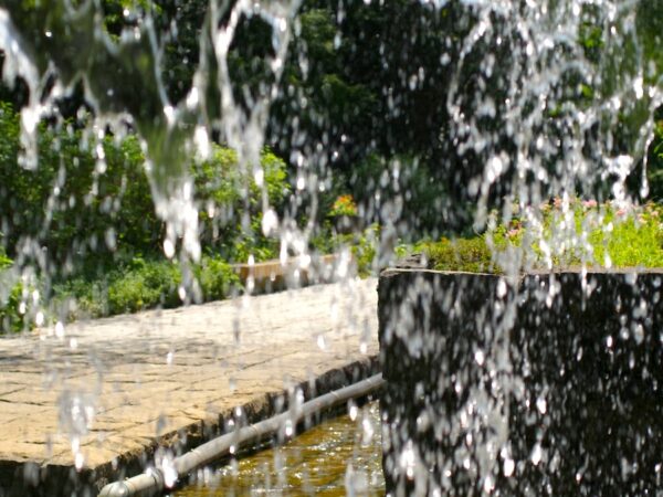 Residential Mold Remediation Tips for Water Damage in South Florida Homes